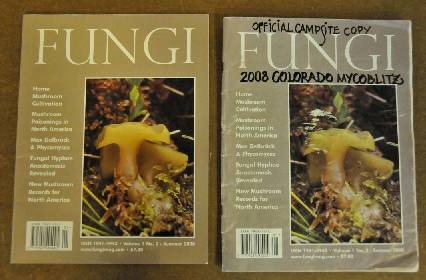 new copy and Campsite Copy of Fungi magazine