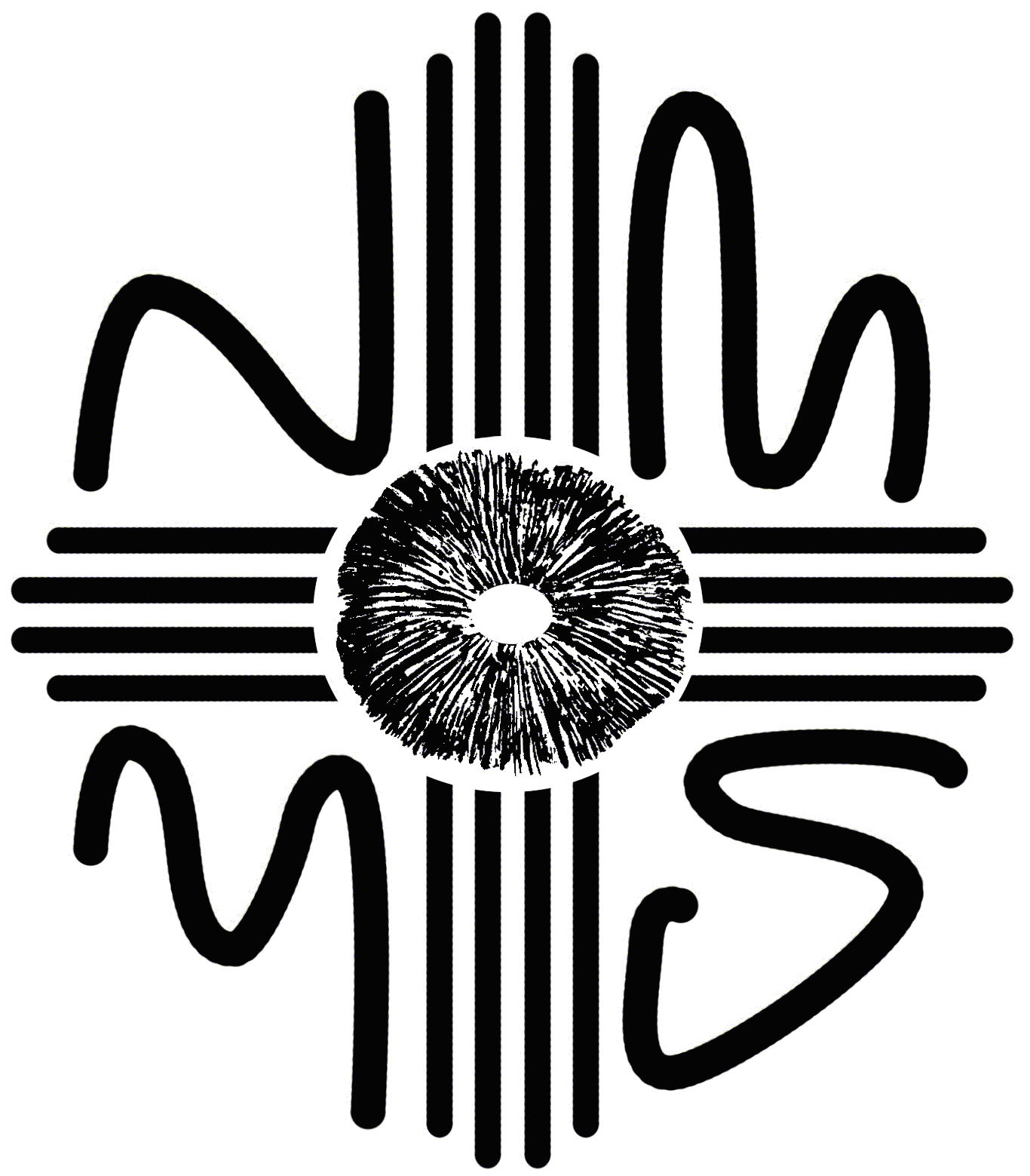 NMMS Logo
